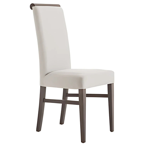 Image of Dining Chairs DC-36
